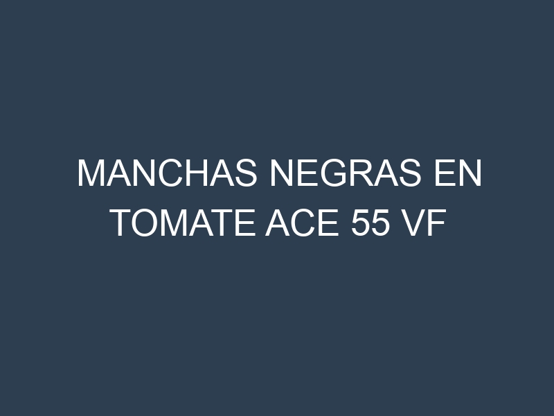 Manchas Negras en Tomate Ace 55 Vf