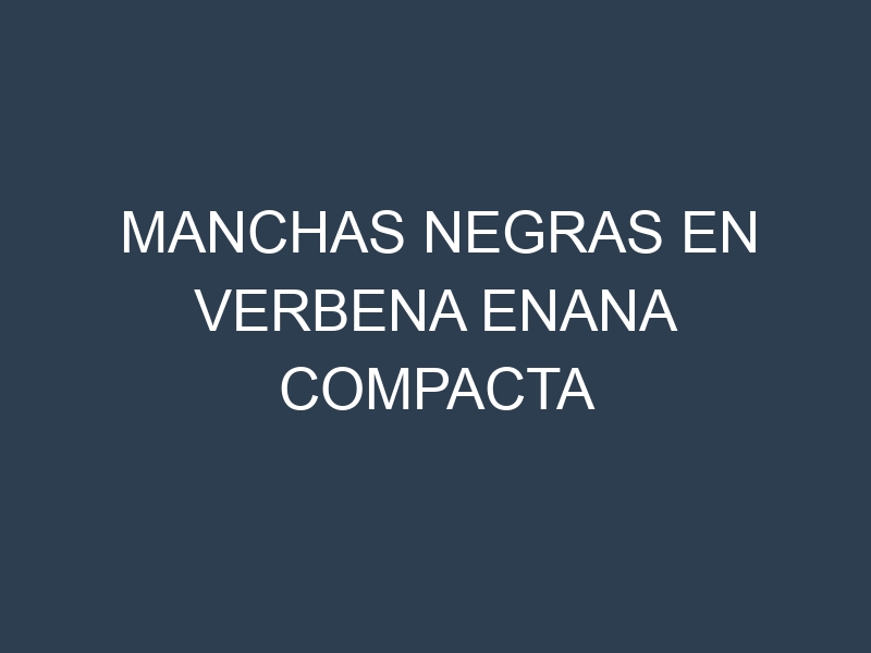 Manchas Negras en Verbena Enana Compacta