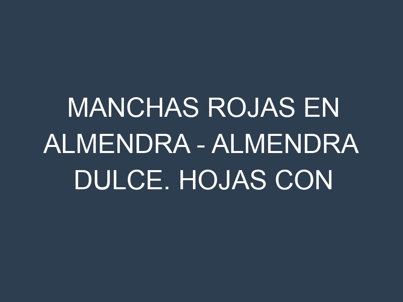 Manchas rojas en Almendra – Almendra dulce. Hojas con manchas rojas en Almendra – Almendra dulce.