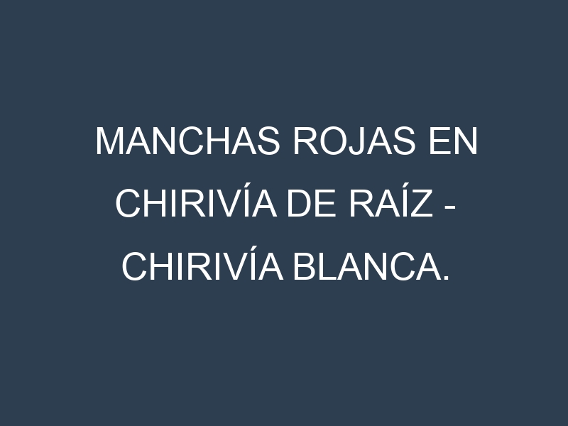 Manchas rojas en Chirivía de raíz – Chirivía blanca. Hojas con manchas rojas en Chirivía de raíz – Chirivía blanca.