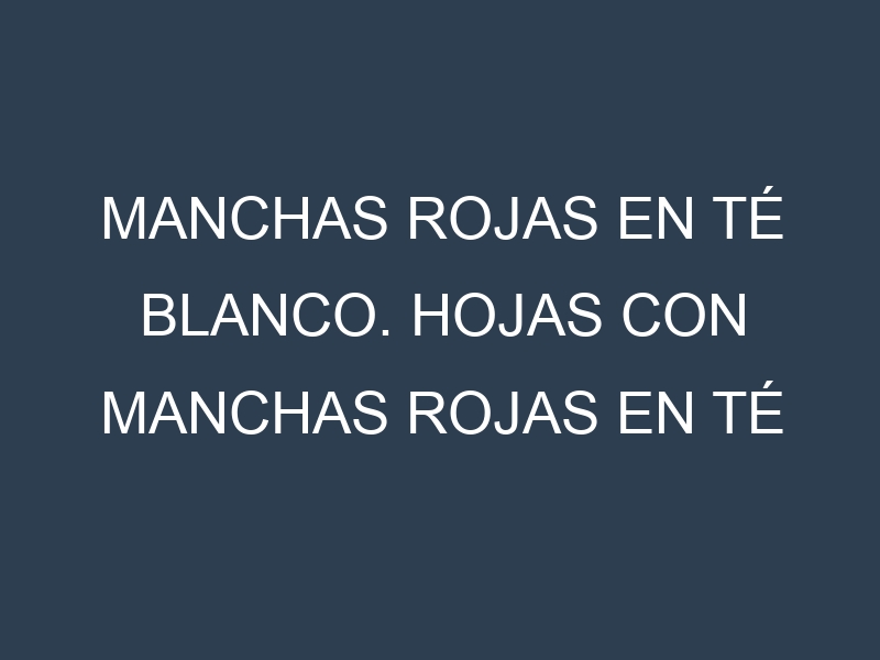 Manchas rojas en Té blanco. Hojas con manchas rojas en Té blanco.