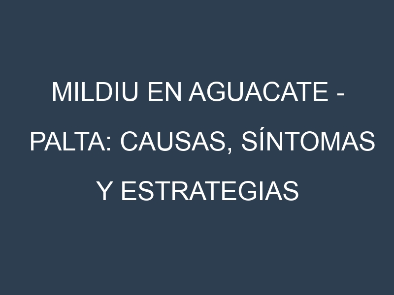 Mildiu en Aguacate – Palta: Causas, Síntomas y Estrategias de Control en Cultivos
