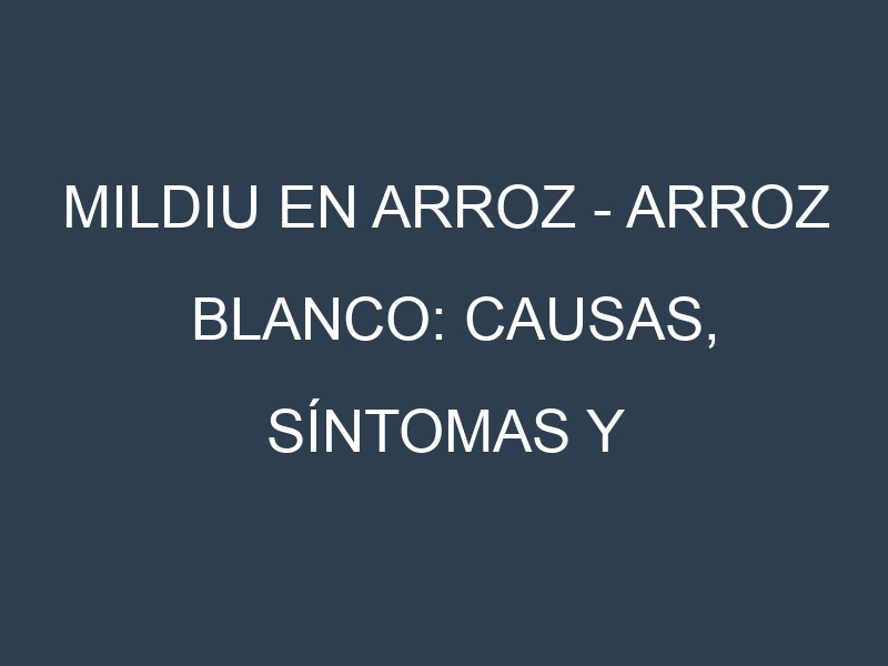 Mildiu en Arroz – Arroz blanco: Causas, Síntomas y Estrategias de Control en Cultivos