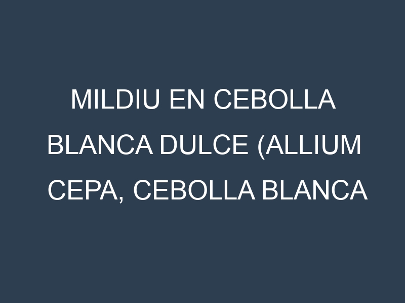 Mildiu en Cebolla blanca dulce (Allium cepa, Cebolla blanca dulce, Cebolla blanca grande): Causas, Síntomas y Estrategias de Control en Cultivos