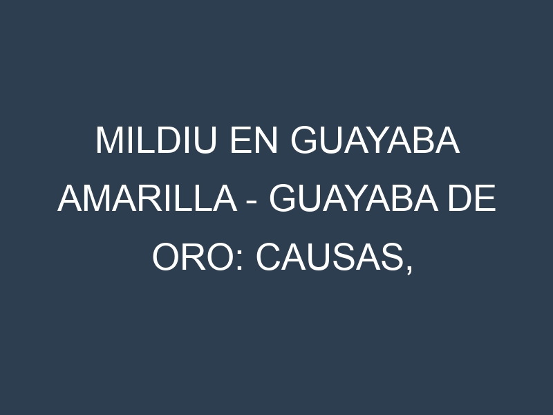 Mildiu en Guayaba amarilla – Guayaba de oro: Causas, Síntomas y Estrategias de Control en Cultivos