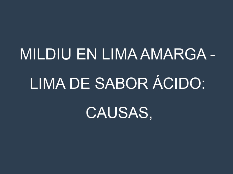 Mildiu en Lima amarga – Lima de sabor ácido: Causas, Síntomas y Estrategias de Control en Cultivos