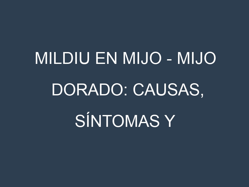 Mildiu en Mijo – Mijo dorado: Causas, Síntomas y Estrategias de Control en Cultivos