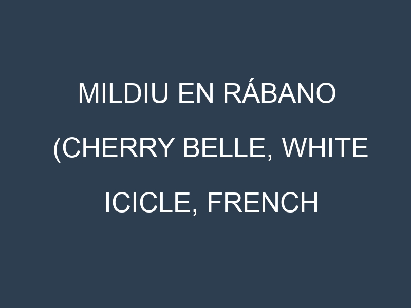 Mildiu en Rábano (Cherry Belle, White Icicle, French Breakfast, Daikon): Causas, Síntomas y Estrategias de Control en Cultivos