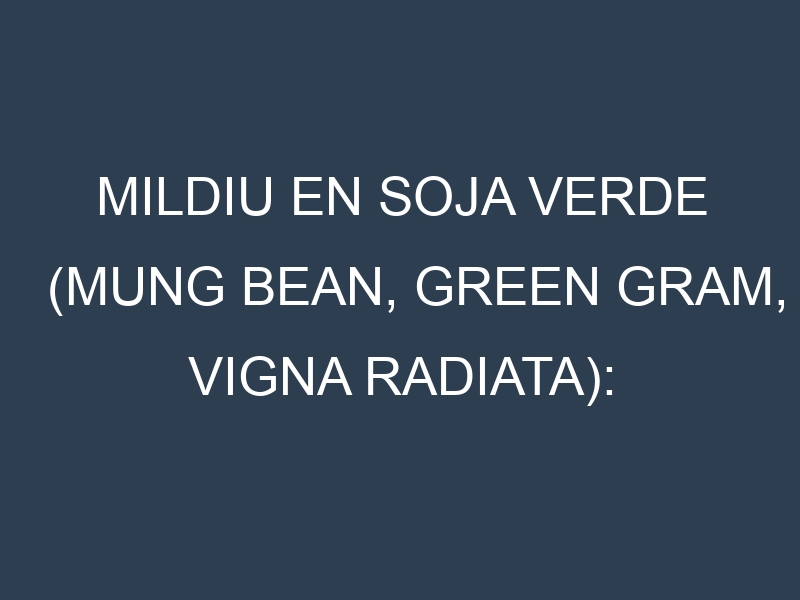 Mildiu en Soja verde (Mung bean, Green Gram, Vigna radiata): Causas, Síntomas y Estrategias de Control en Cultivos