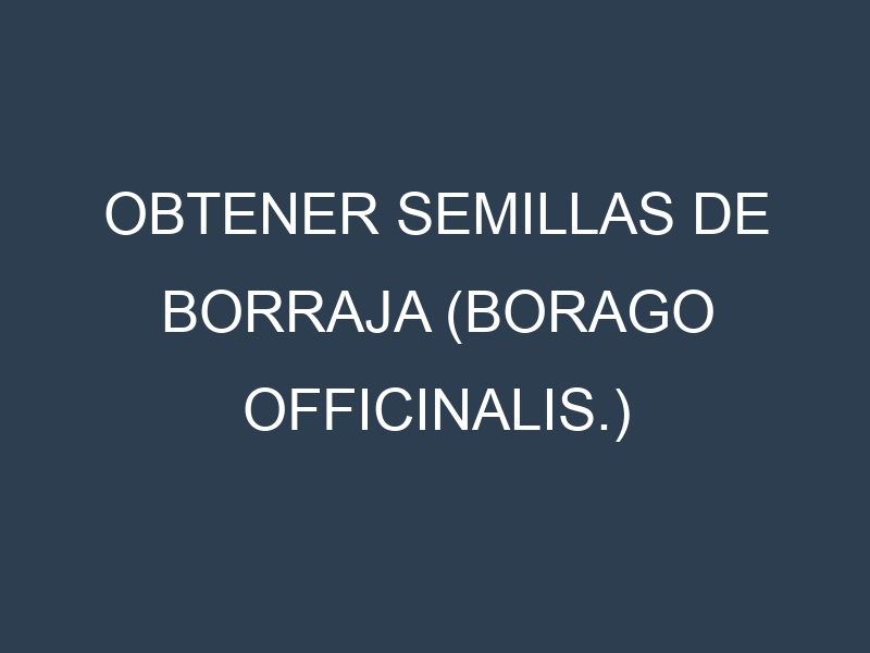 Obtener Semillas de Borraja (Borago officinalis.)