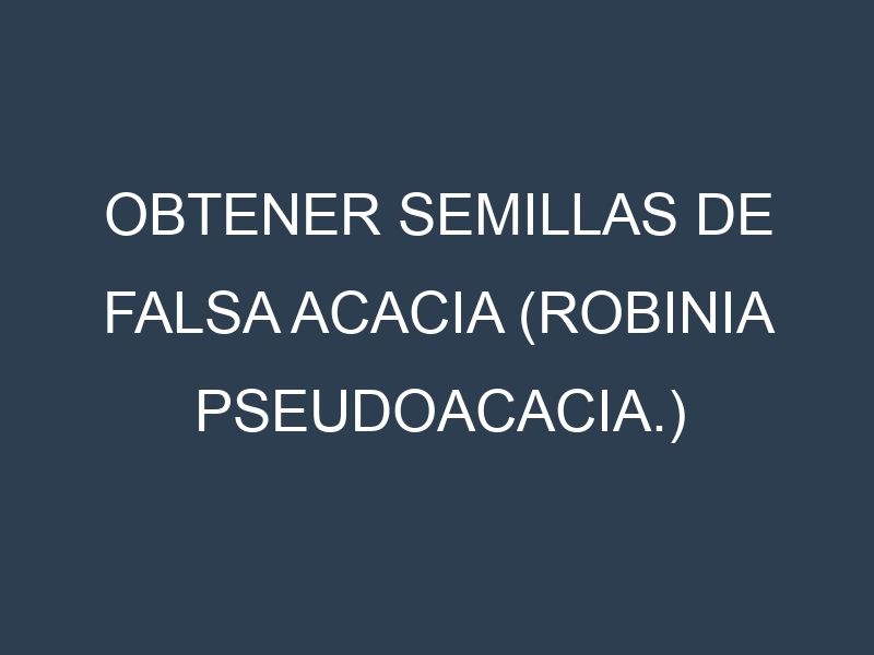 Obtener Semillas de Falsa Acacia (Robinia pseudoacacia.)
