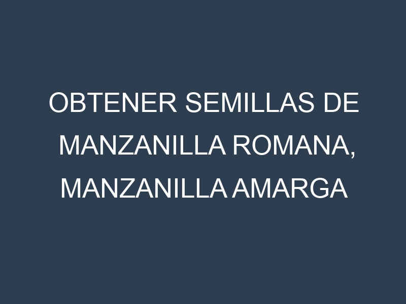 Obtener Semillas de Manzanilla Romana, Manzanilla Amarga (Anthemis nobilis.)