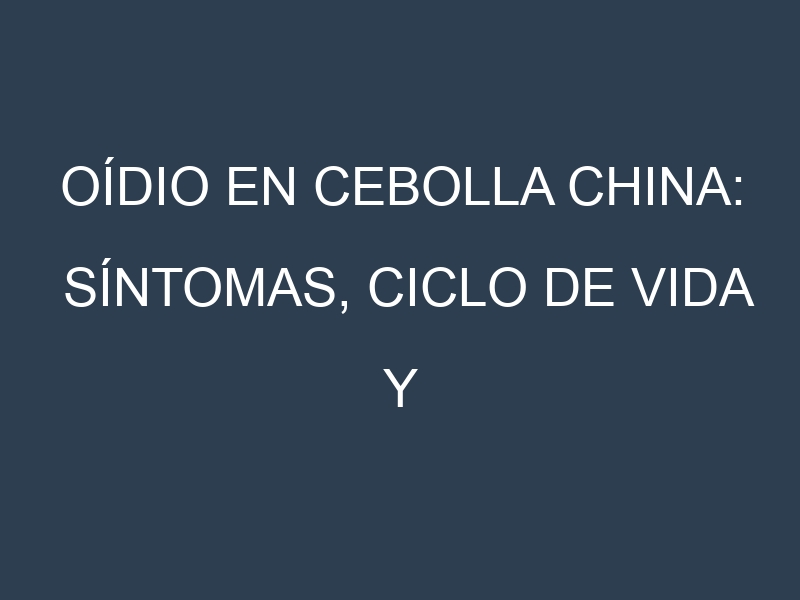 Oídio en Cebolla china: síntomas, ciclo de vida y estrategias de control