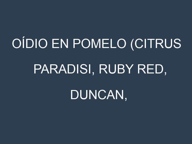 Oídio en Pomelo (Citrus paradisi, Ruby Red, Duncan, Oroblanco): síntomas, ciclo de vida y estrategias de control
