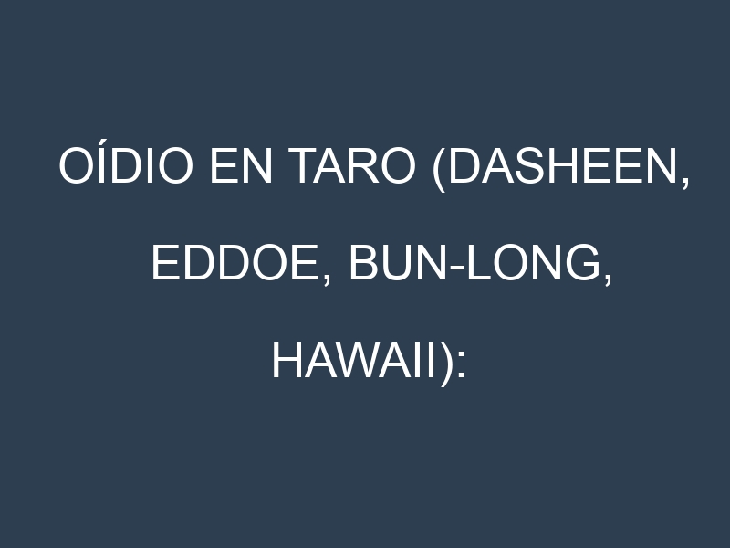 Oídio en Taro (Dasheen, Eddoe, Bun-long, Hawaii): síntomas, ciclo de vida y estrategias de control