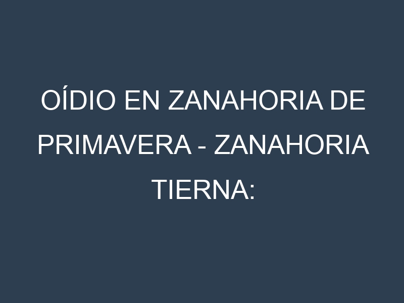Oídio en Zanahoria de primavera – Zanahoria tierna: síntomas, ciclo de vida y estrategias de control