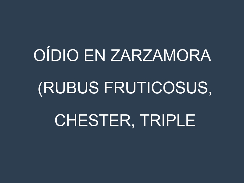 Oídio en Zarzamora (Rubus fruticosus, Chester, Triple Crown, Navajo): síntomas, ciclo de vida y estrategias de control