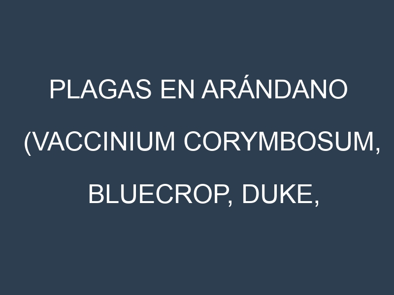 Plagas en Arándano (Vaccinium corymbosum, Bluecrop, Duke, Legacy). Control biológico y Manejo de plagas.