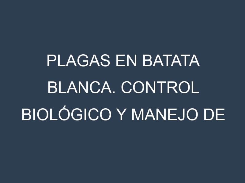 Plagas en Batata blanca. Control biológico y Manejo de plagas.