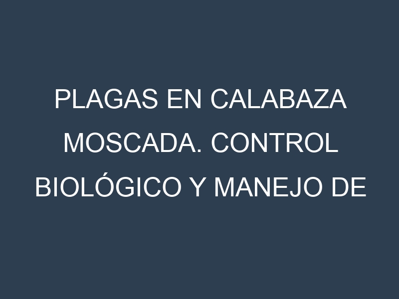 Plagas en Calabaza moscada. Control biológico y Manejo de plagas.