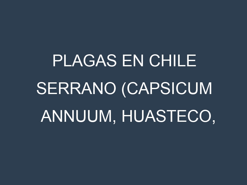 Plagas en Chile serrano (Capsicum annuum, Huasteco, Tampiqueño, Altamira). Control biológico y Manejo de plagas.
