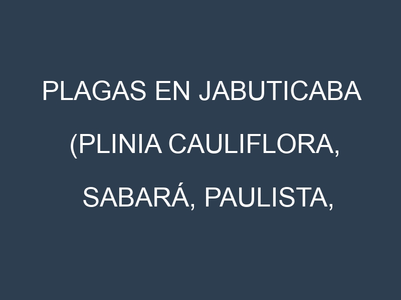 Plagas en Jabuticaba (Plinia cauliflora, Sabará, Paulista, Rajada). Control biológico y Manejo de plagas.