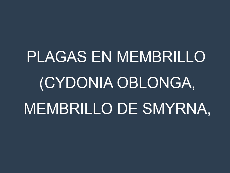 Plagas en Membrillo (Cydonia oblonga, Membrillo de Smyrna, Membrillo común). Control biológico y Manejo de plagas.