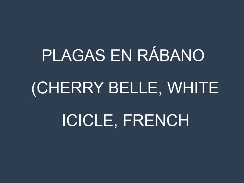 Plagas en Rábano (Cherry Belle, White Icicle, French Breakfast, Daikon). Control biológico y Manejo de plagas.