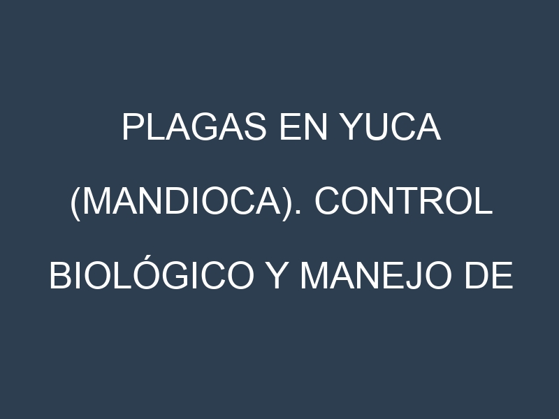 Plagas en Yuca (mandioca). Control biológico y Manejo de plagas.