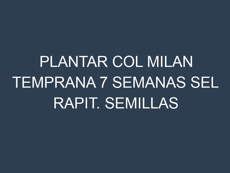 Plantar Col Milan Temprana 7 Semanas Sel Rapit. Semillas para Col Milan Temprana 7 Semanas Sel Rapit. Enfermedades Col Milan Temprana 7 Semanas Sel Rapit.
