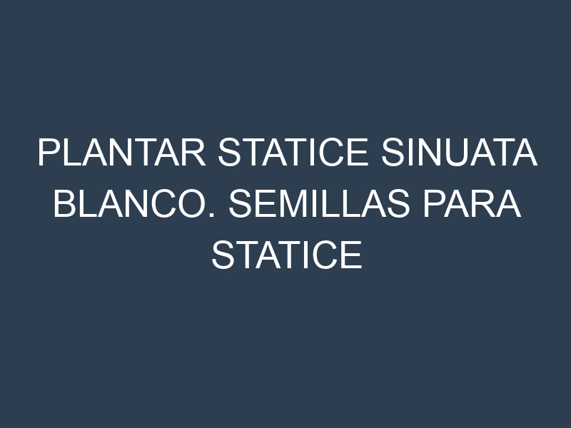 Plantar Statice Sinuata Blanco. Semillas para Statice Sinuata Blanco. Enfermedades Statice Sinuata Blanco.