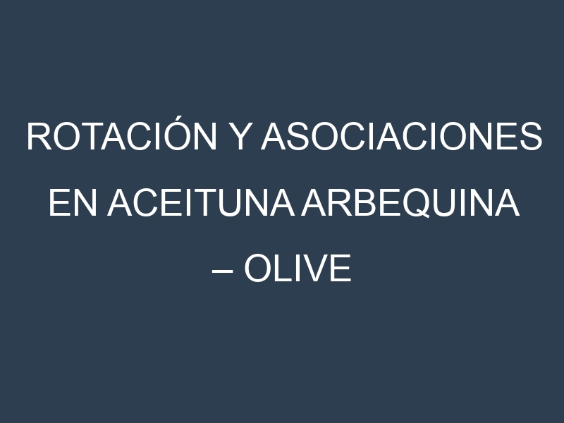Rotación y Asociaciones en Aceituna arbequina – Olive arbequina. Estrategias de rotación y Beneficios de las asociaciones de cultivos.