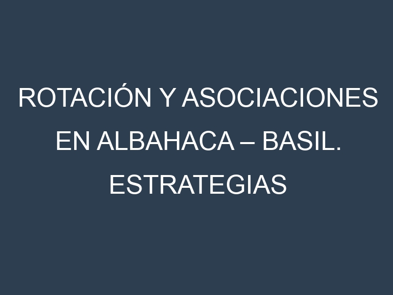 Rotación y Asociaciones en Albahaca – Basil. Estrategias de rotación y Beneficios de las asociaciones de cultivos.