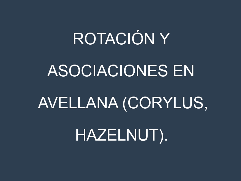 Rotación y Asociaciones en Avellana (Corylus, hazelnut). Estrategias de rotación y Beneficios de las asociaciones de cultivos.