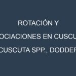 Rotación y Asociaciones en Cuscuta (Cuscuta spp., dodder). Estrategias de rotación y Beneficios de las asociaciones de cultivos.