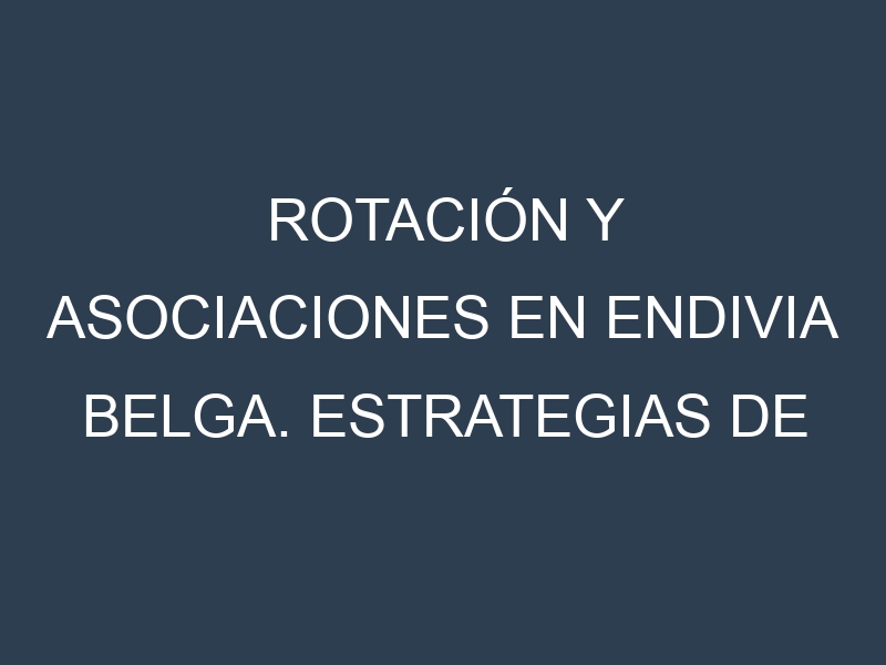 Rotación y Asociaciones en Endivia belga. Estrategias de rotación y Beneficios de las asociaciones de cultivos.