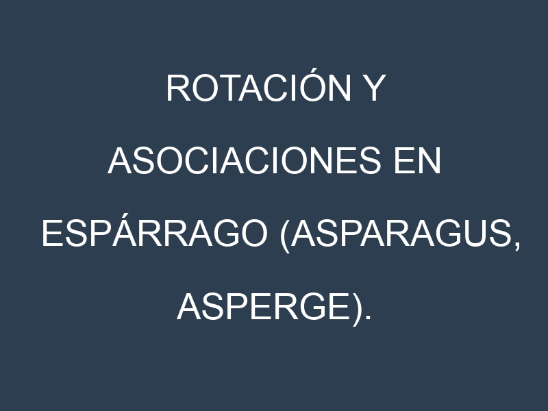 Rotación y Asociaciones en Espárrago (Asparagus, asperge). Estrategias de rotación y Beneficios de las asociaciones de cultivos.