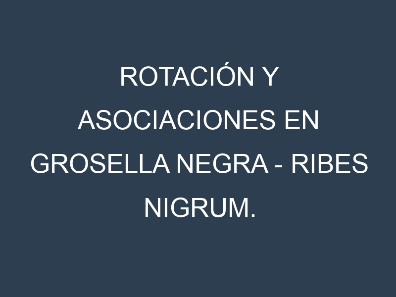 Rotación y Asociaciones en Grosella negra – Ribes nigrum. Estrategias de rotación y Beneficios de las asociaciones de cultivos.