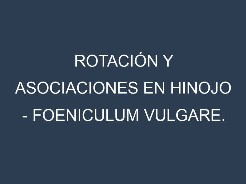Rotación y Asociaciones en Hinojo – Foeniculum vulgare. Estrategias de rotación y Beneficios de las asociaciones de cultivos.