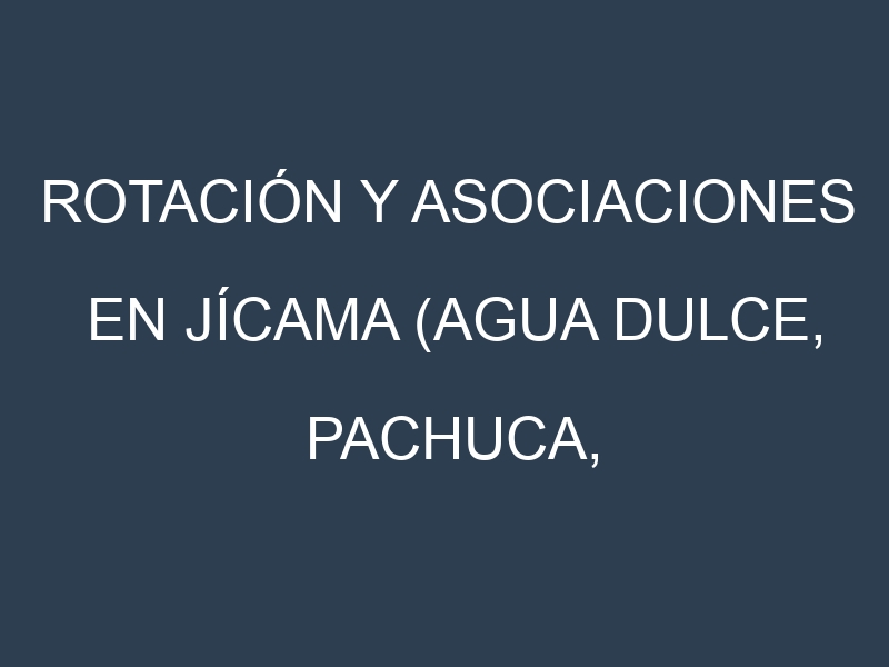 Rotación y Asociaciones en Jícama (Agua Dulce, Pachuca, Criolla, Veracruz, Dulcita). Estrategias de rotación y Beneficios de las asociaciones de cultivos.