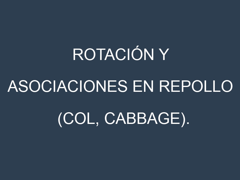 Rotación y Asociaciones en Repollo (Col, cabbage). Estrategias de rotación y Beneficios de las asociaciones de cultivos.