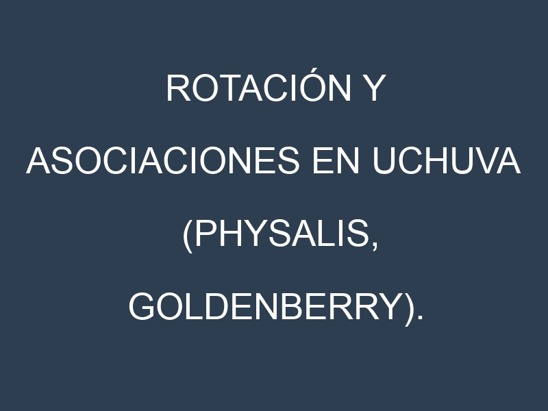 Rotación y Asociaciones en Uchuva (Physalis, goldenberry). Estrategias de rotación y Beneficios de las asociaciones de cultivos.