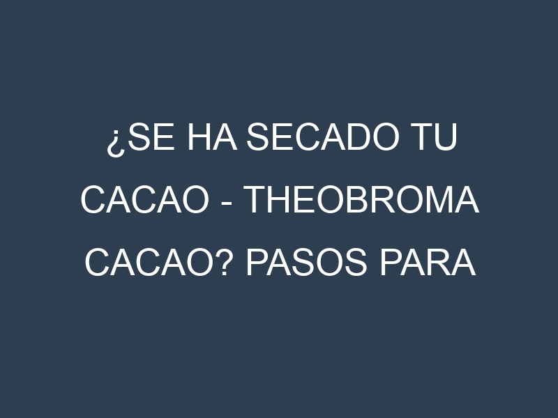 ¿Se ha secado tu Cacao – Theobroma cacao? Pasos para Detectar, Corregir y Prevenir.