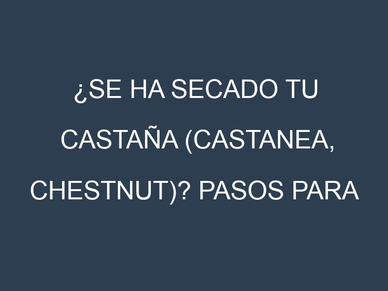 ¿Se ha secado tu Castaña (Castanea, chestnut)? Pasos para Detectar, Corregir y Prevenir.