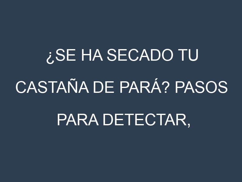¿Se ha secado tu Castaña de Pará? Pasos para Detectar, Corregir y Prevenir.