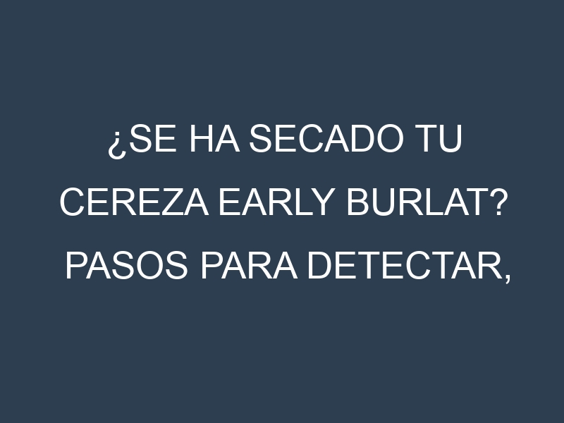 ¿Se ha secado tu Cereza Early Burlat? Pasos para Detectar, Corregir y Prevenir.