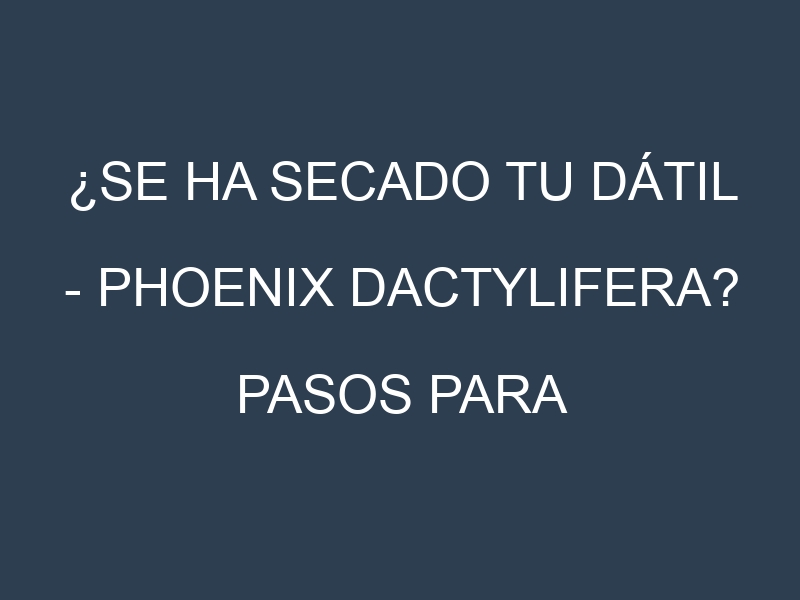 ¿Se ha secado tu Dátil – Phoenix dactylifera? Pasos para Detectar, Corregir y Prevenir.