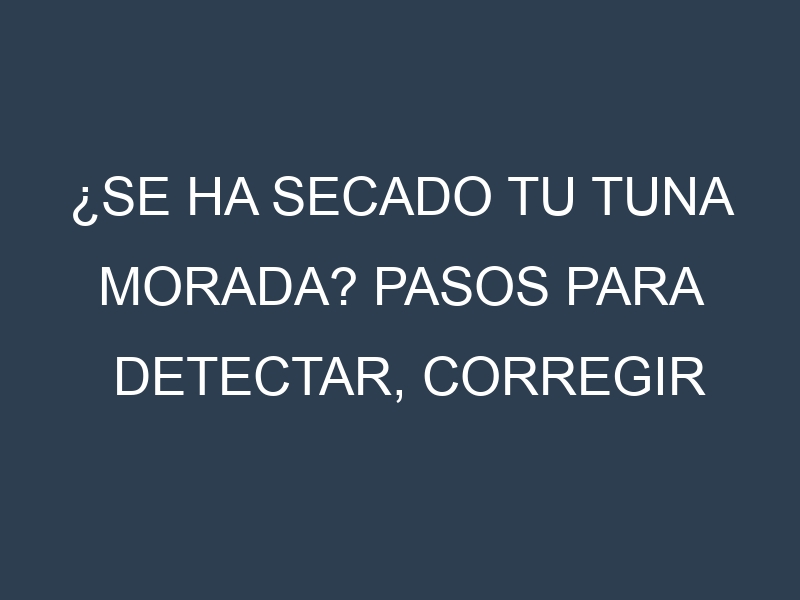 ¿Se ha secado tu Tuna morada? Pasos para Detectar, Corregir y Prevenir.