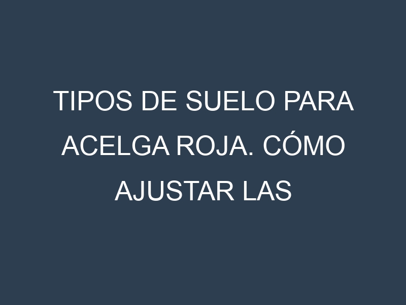Tipos de suelo para Acelga roja. Cómo ajustar las condiciones del suelo.