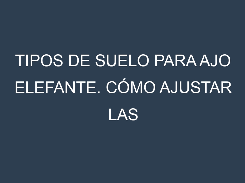 Tipos de suelo para Ajo elefante. Cómo ajustar las condiciones del suelo.